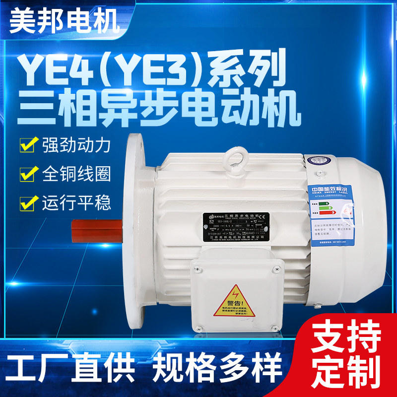 YE4-100L2-4-3KW B3